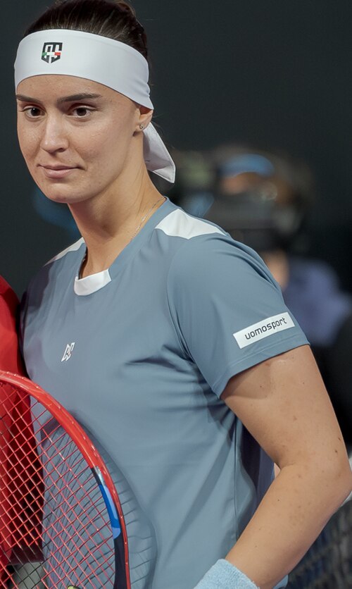 Anhelina Kalinina photo