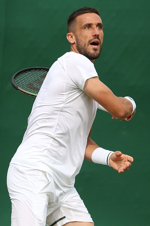 Damir Dzumhur photo
